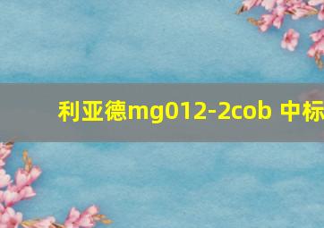 利亚德mg012-2cob 中标